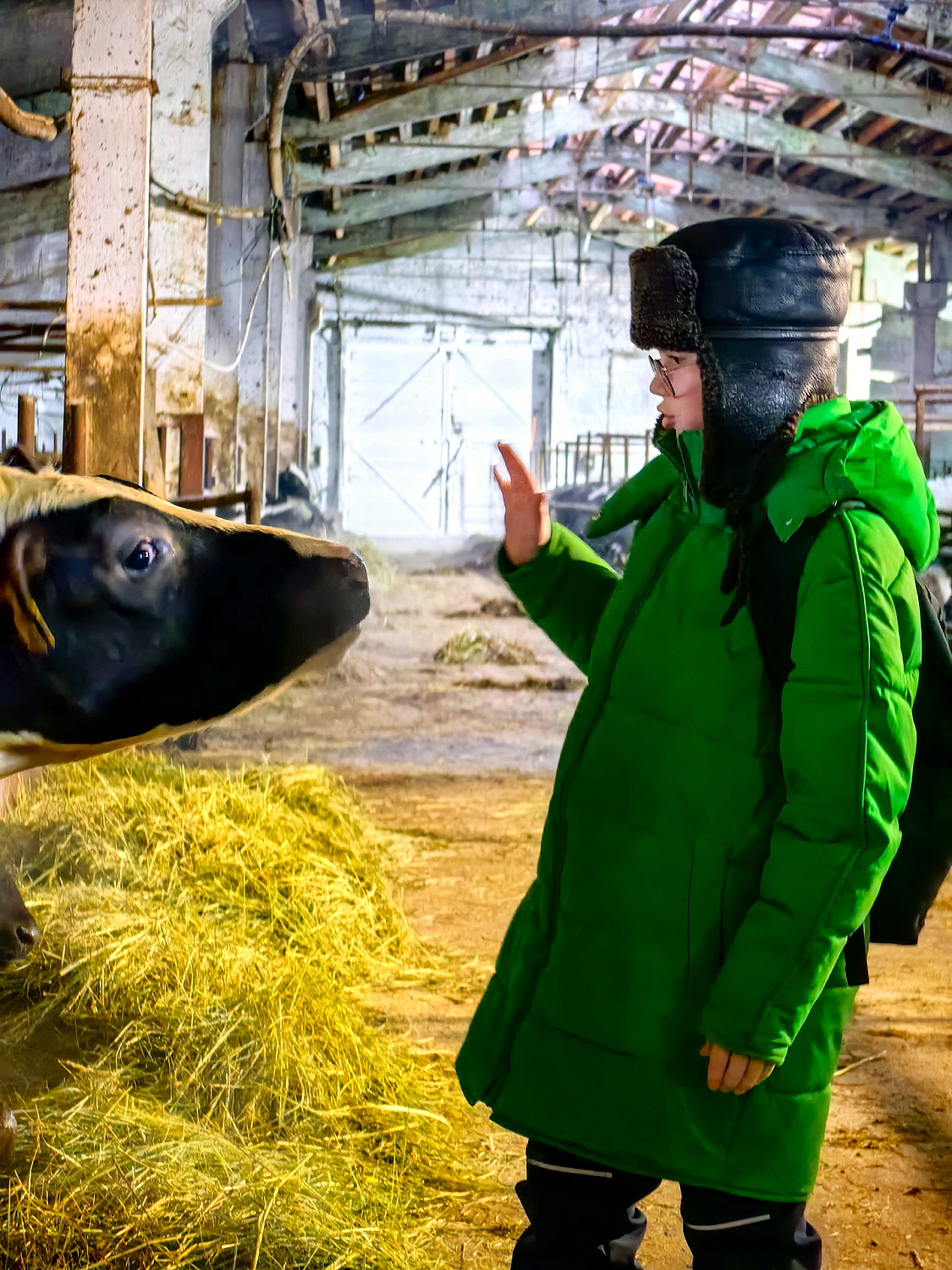 Водник в гостях у наших коровок