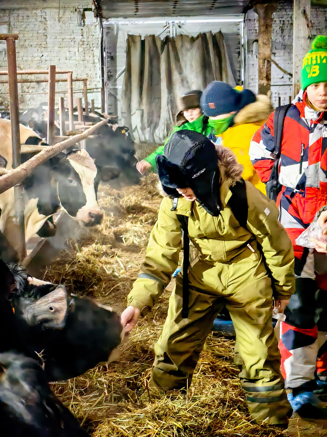 Водник в гостях у наших коровок