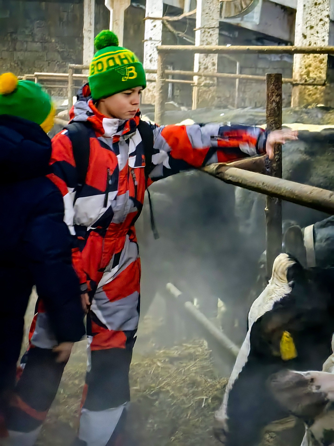 Водник в гостях у наших коровок